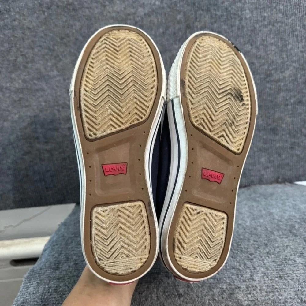 Levis levis canvas